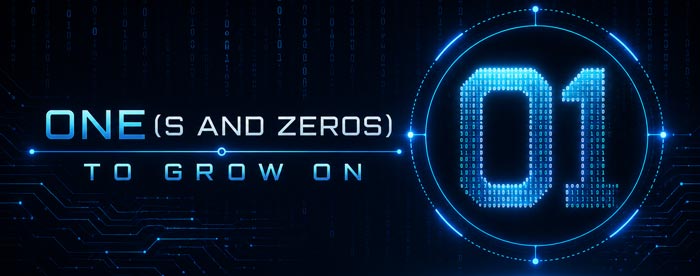 Welcome to One(s and Zeros) to Grow On: Lessons Beyond the Code